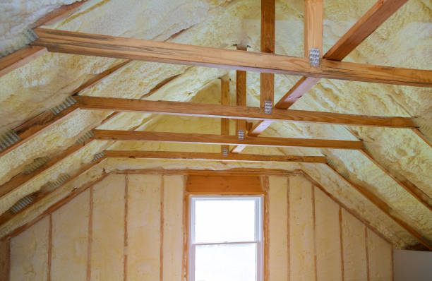 Types of Insulation We Offer in Valley, AL